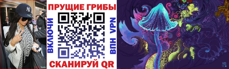 Галлюциногенные грибы Psilocybine cubensis  Благодарный 