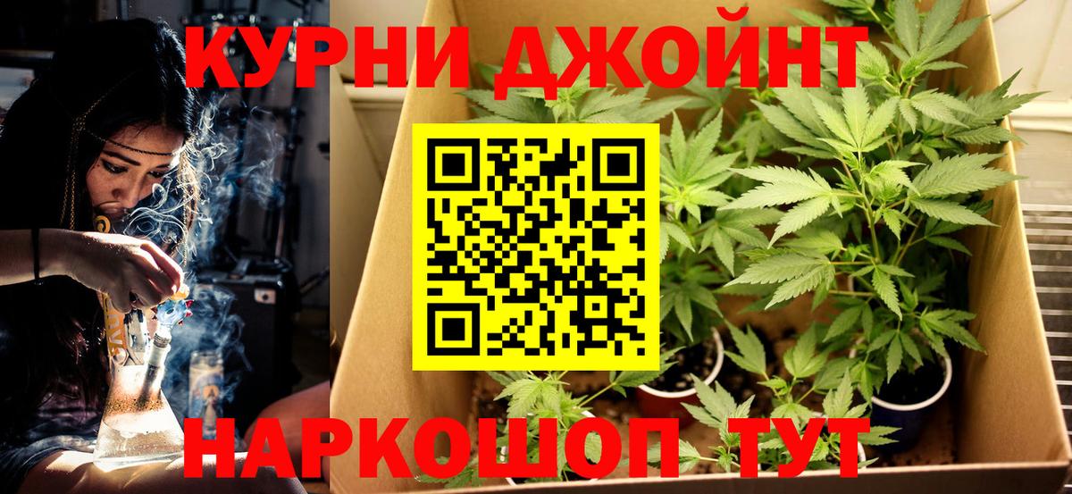 Конопля сатива  Бошки Шишки THC 21%  Марихуана гибрид  Каннабис гибрид  Вход с VPN  Благодарный 